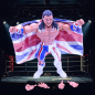 Preview: WWE Superstars British Bulldog Figur Mattel 2024 lose | Hoppla-Stuff